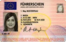 führerschein schnell machen